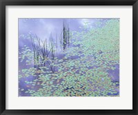 Damselfly and Lily Pads Fine Art Print