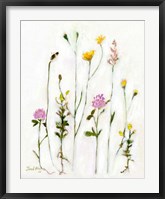Chamomile, Clover and Dandelion Fine Art Print