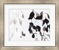 Leaves in Black and White Fine Art Print
