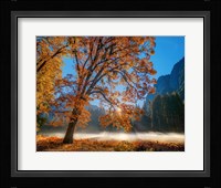Autumn Oak Sunrise & Fog Fine Art Print