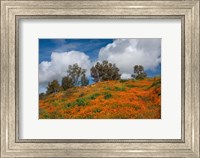Poppies, Trees & Clouds Fine Art Print