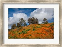 Poppies, Trees & Clouds Fine Art Print