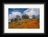 Poppies, Trees & Clouds Fine Art Print