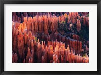 Bryce Canyon at Sunset Fine Art Print