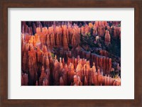 Bryce Canyon at Sunset Fine Art Print