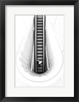 New Born Fine Art Print