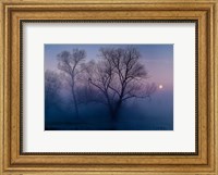 Another new day Fine Art Print
