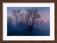 Another new day Fine Art Print