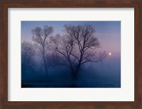 Another new day Fine Art Print