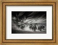 The Sky, Dust and Elephants Fine Art Print