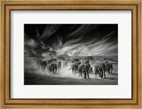 The Sky, Dust and Elephants Fine Art Print