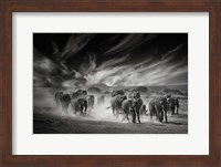 The Sky, Dust and Elephants Fine Art Print