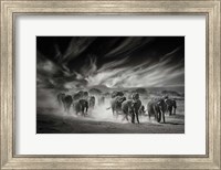 The Sky, Dust and Elephants Fine Art Print