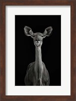 To be Standing to Attention Fine Art Print