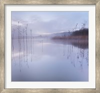 Reflections in a Lake 1 Fine Art Print