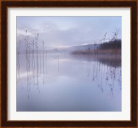Reflections in a Lake 1 Fine Art Print