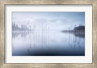 Reflections in a Lake 2 Fine Art Print