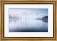 Reflections in a Lake 2 Fine Art Print