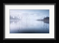 Reflections in a Lake 2 Fine Art Print