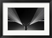 Wings Fine Art Print