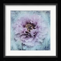 The Season I love Fine Art Print