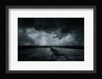 The Field Fine Art Print