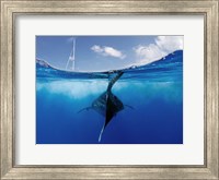 Collision Course Fine Art Print