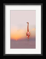 Sunset Fine Art Print