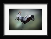 Top Model in the Photos Studio Fine Art Print