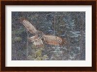 Great Grey Owl in Snowfall Fine Art Print