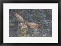 Great Grey Owl in Snowfall Fine Art Print