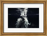 Hagia Fine Art Print