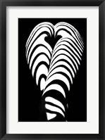 Zebra Ass 2 Fine Art Print