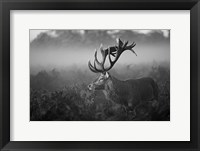 Sunny Morning Fine Art Print