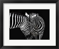 Conversation Fine Art Print