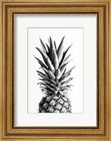 Pineapple Black a White 1 Fine Art Print