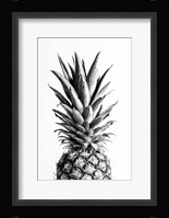 Pineapple Black a White 1 Fine Art Print