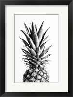 Pineapple Black a White 1 Fine Art Print