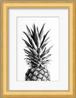 Pineapple Black a White 1 Fine Art Print