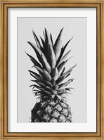 Pineapple Black a White 2 Fine Art Print