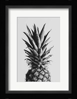Pineapple Black a White 2 Fine Art Print