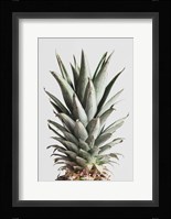 Pineapple Natural 2 Fine Art Print