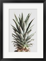 Pineapple Natural 2 Fine Art Print
