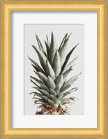 Pineapple Natural 2 Fine Art Print