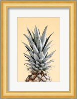 Pineapple Yellow 4 Fine Art Print