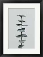 Eucalyptus Natural 9 Fine Art Print