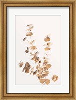 Eucalyptus Gold No 4 Fine Art Print