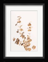 Eucalyptus Gold No 4 Fine Art Print