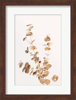Eucalyptus Gold No 4 Fine Art Print