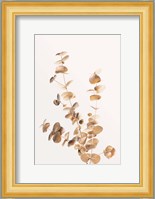 Eucalyptus Gold No 4 Fine Art Print